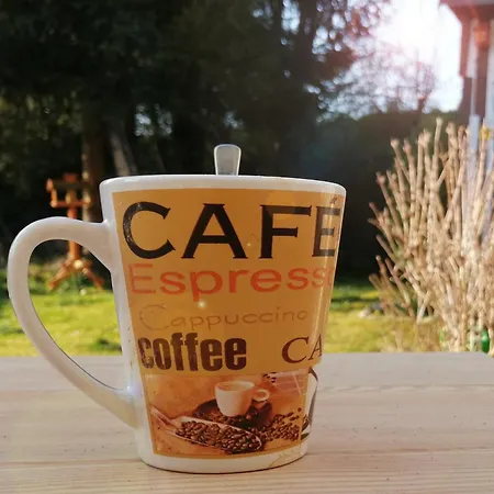 Hecht - Biketrail Fun & Relaxing *